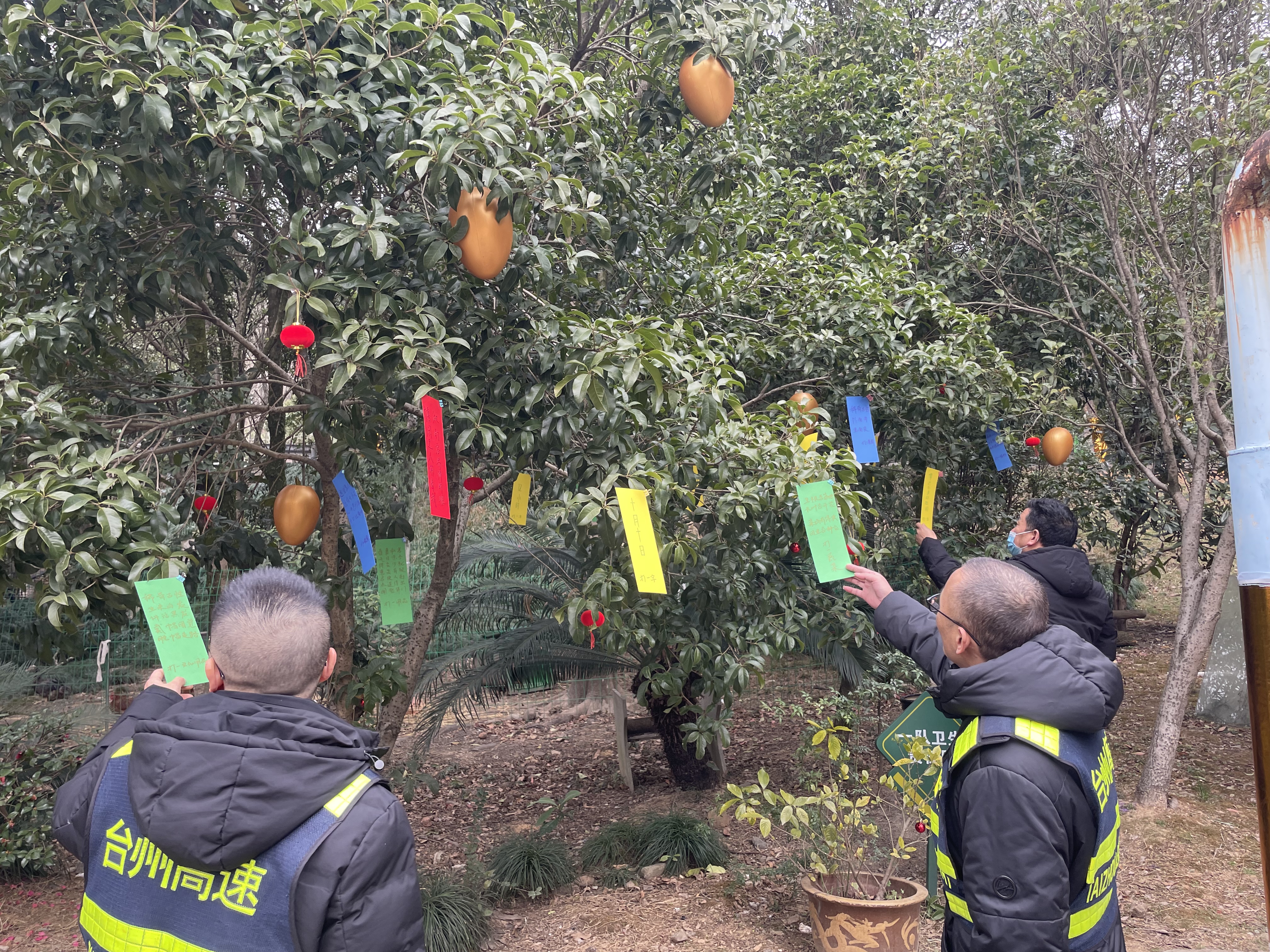 1675386777729643.jpg 思考著燈謎的答案柳媛攝.jpg